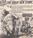 Buffalo Boy. A Hornet western.
