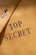 Stone of the Secret Service. A Victor story.